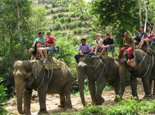 Elephant Safari Corbett