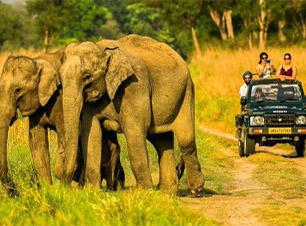 Corbett Holiday Gypsy Safari